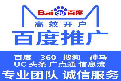 SEM推广实战：成功案例解读与策略调整
